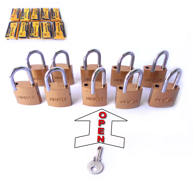 Cadenas 10 pièces de 24 mm ouverts par les mêmes clés
