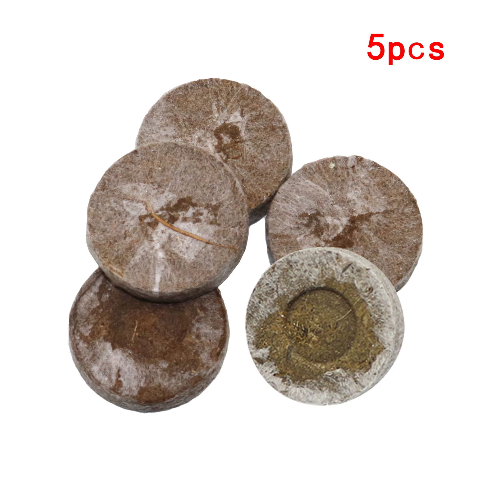 Pot de semis à cellules 6/12, kit de germination avec trous respirants, boîte de culture et de plant