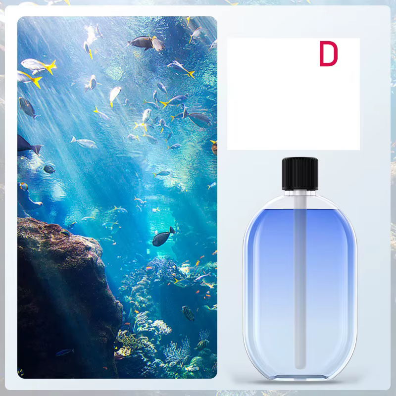 Diffuseur de parfum automatique, diffuseur d'huile essentielle alimenté par USB avec pulvérisation e