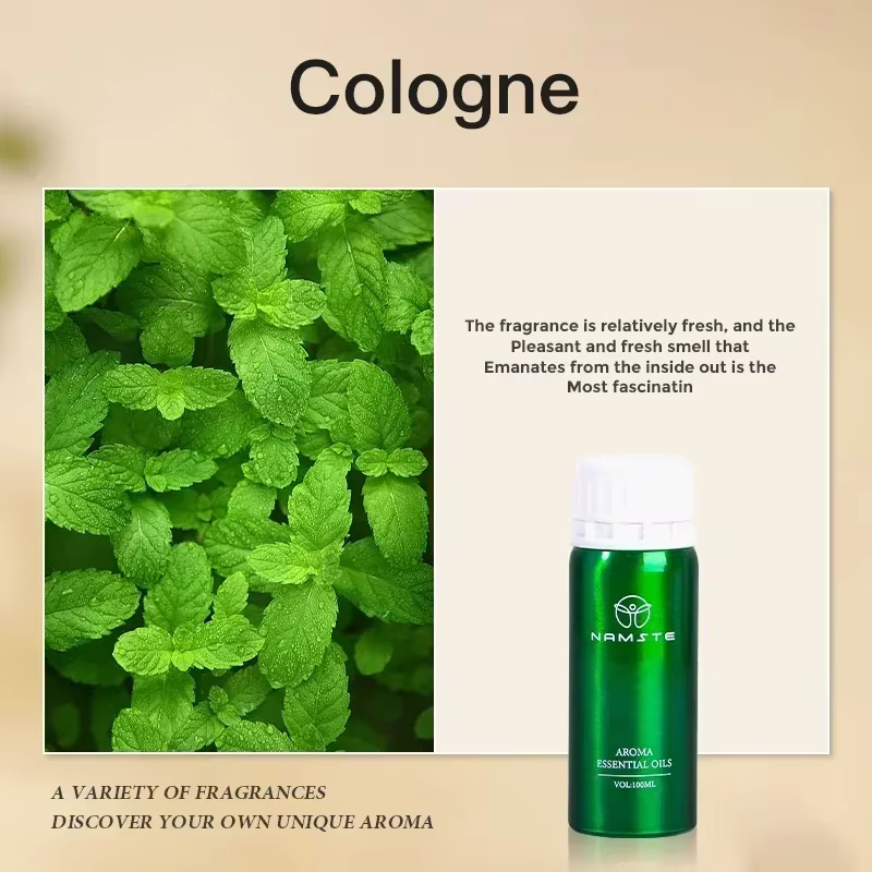 My Way-Diffuseur d'Huile Essentielle de 100ml pour la Maison, Purificateur d'Air, Hôtel