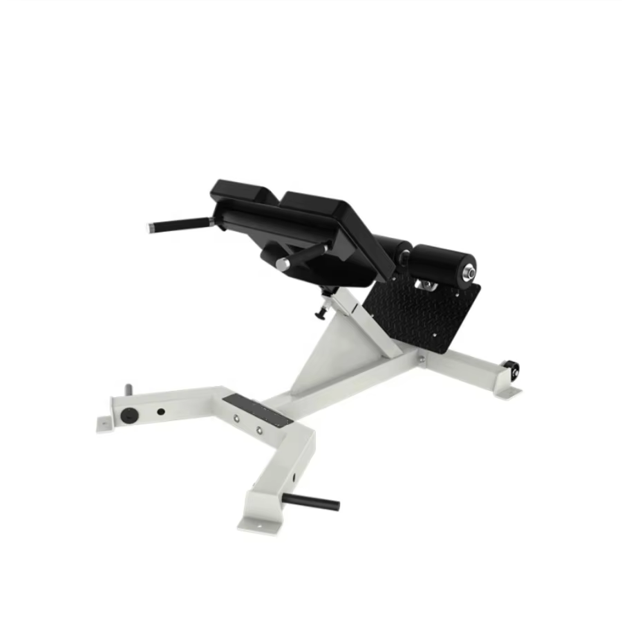 Équipement de Fitness de gymnastique Extension de dossier chaise romaine Extension de dossier hyper 