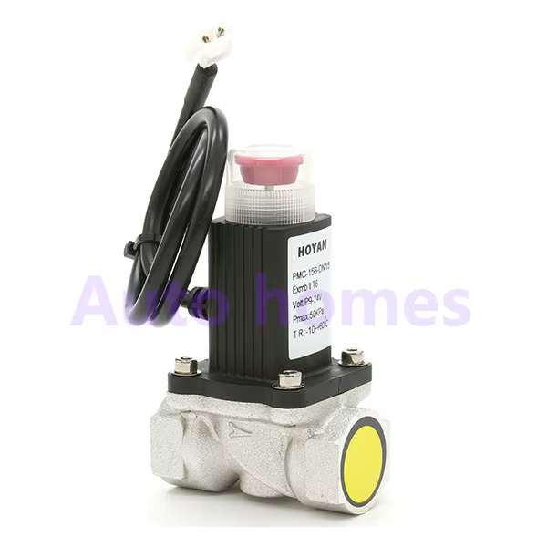 Vanne coupe-gaz électronique, vanne à gaz naturel, vanne électromagnétique G1/2 "G3/4" G1 ", vanne à