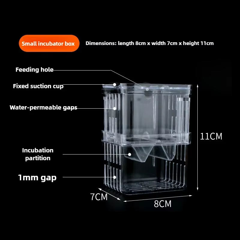 Boîte d'élevage de poissons d'aquarium, boîte d'isolation Durable pour Aquarium Betta, boîte d'incub