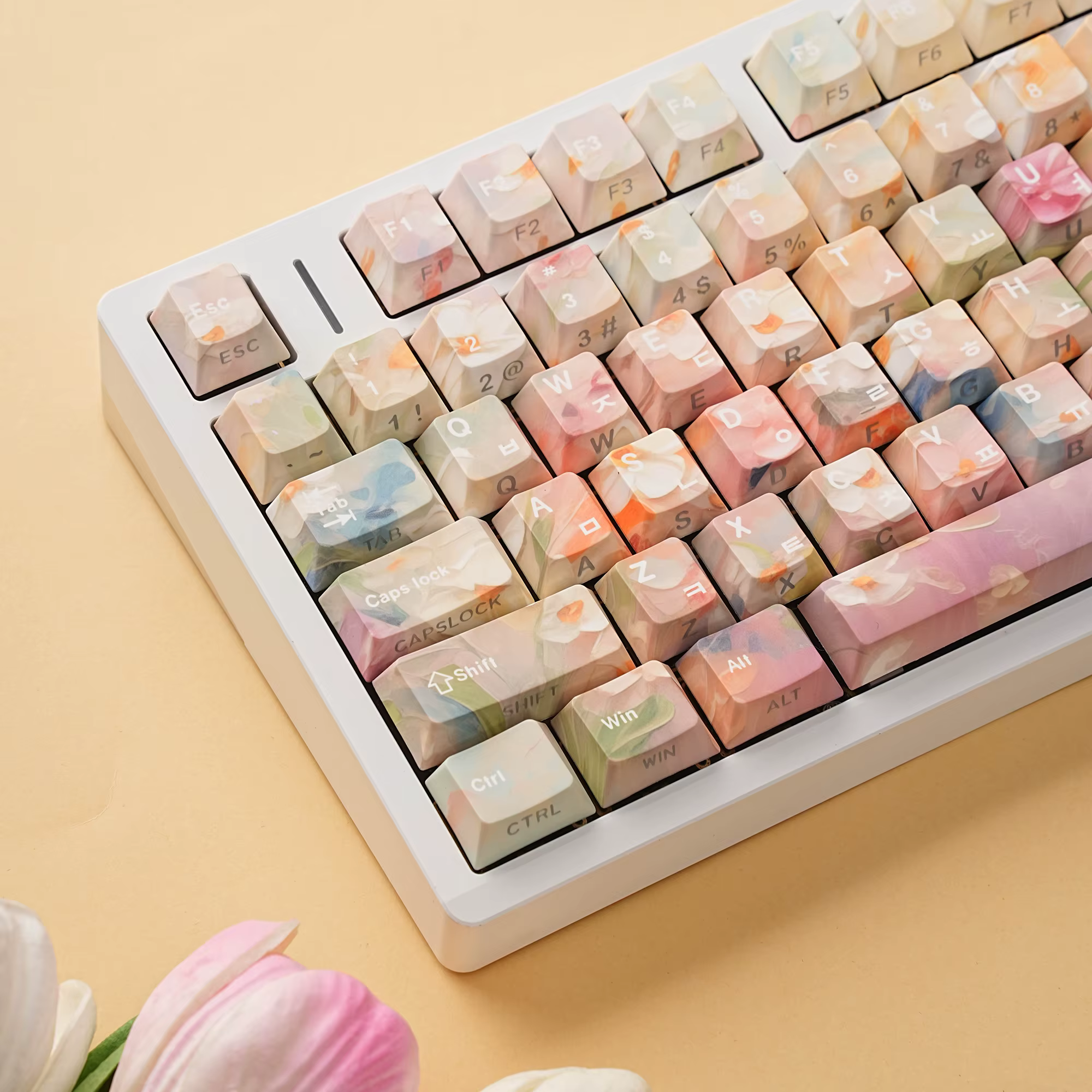 Capuchons de touches de couleur fleur, lettres brillantes, PBT, colorant cerise, disposition ISO, co