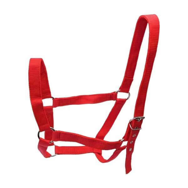 Harnais de corde d'entraînement de licou de cheval Durable, bride réglable pour l'équitation de pone
