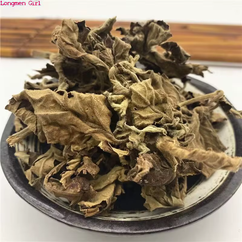 Encens de bougie naturel parfumé, Pogostemon, Bablin, Patchoumovies séchés, cuir chevelu pour Regina