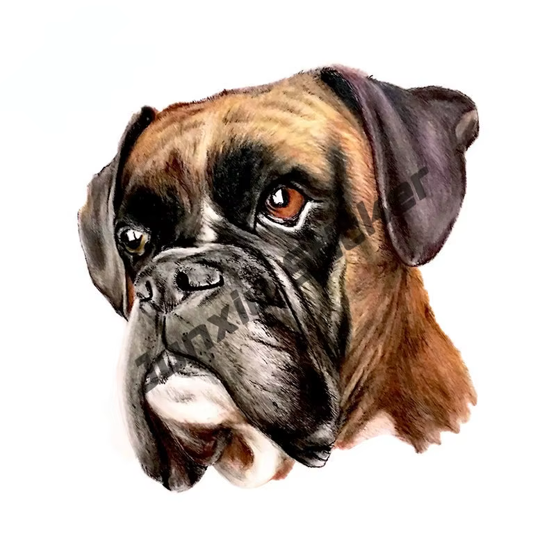 Dessin animé animaux décalcomanies Boxer chien voiture décalcomanie Boxer à bord chien autocollant r