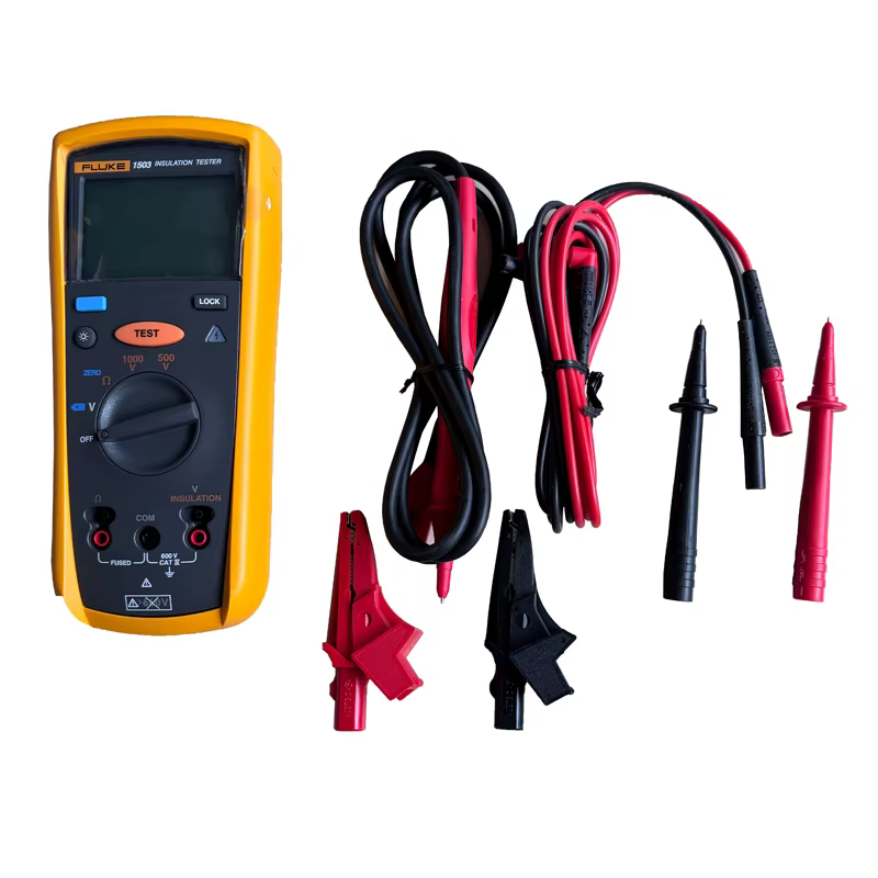 FLUKE 1503 testeur de résistance d'isolation numérique testeur de résistance portable 2000MΩ outil d