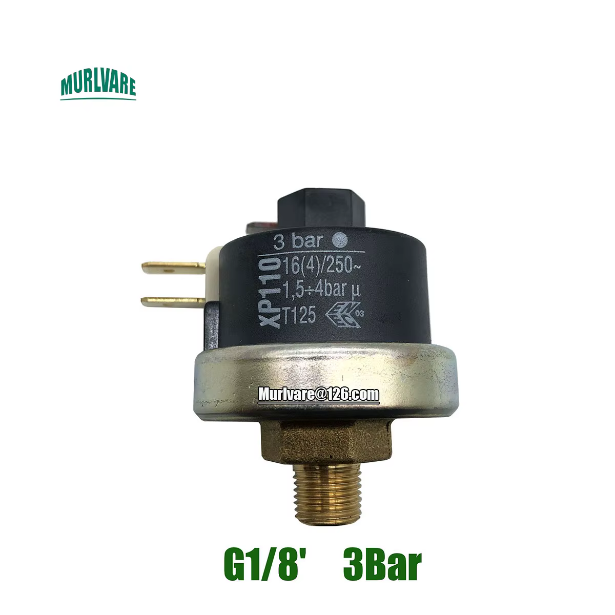 Contrôleur de Pression Vapeur G1/8 Pouces 3Bar, Joli pour Repasser les Chaudières