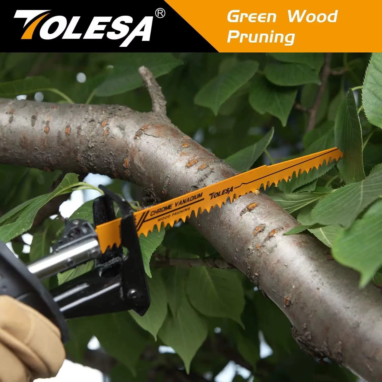 TOLESA 10 pièces lames de scie bi-métal alternatives pour l'élagage du bois PVC coupe métal lourd co