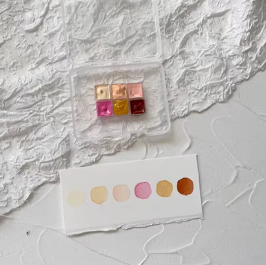 Boîte de collection de teintes de peau pour peinture à la main, emballage portable, solide, 6/12