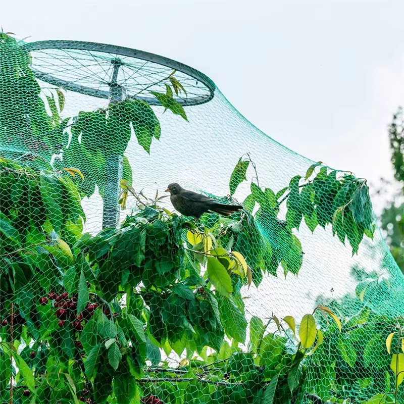Filet de Protection Anti-oiseaux 20/10M