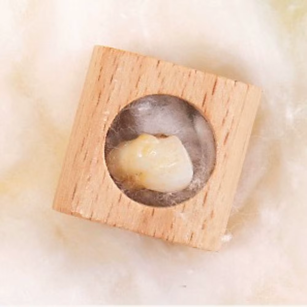 Keepplex-Boîte de rangement en bois pour dents de lait de bébé