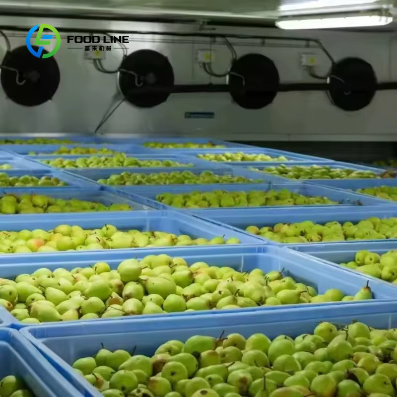 Stockage au froid compact personnalisé peu encombrant
