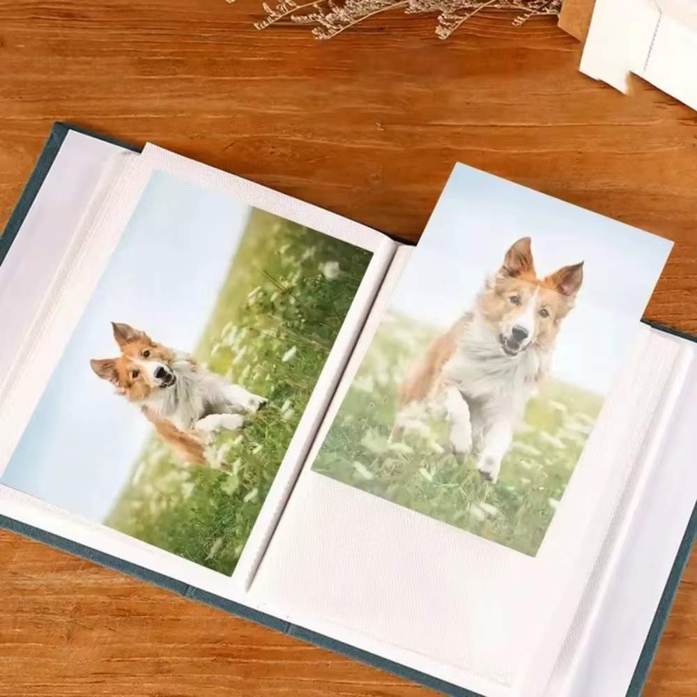 Nouveaux albums photo artistiques de 6 pouces