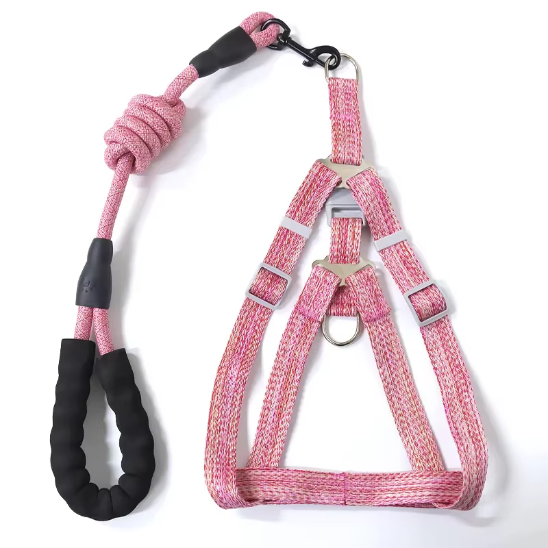 Harnais pour chien 1.2M ensemble de laisse pour petits chiens réglable chiot chat