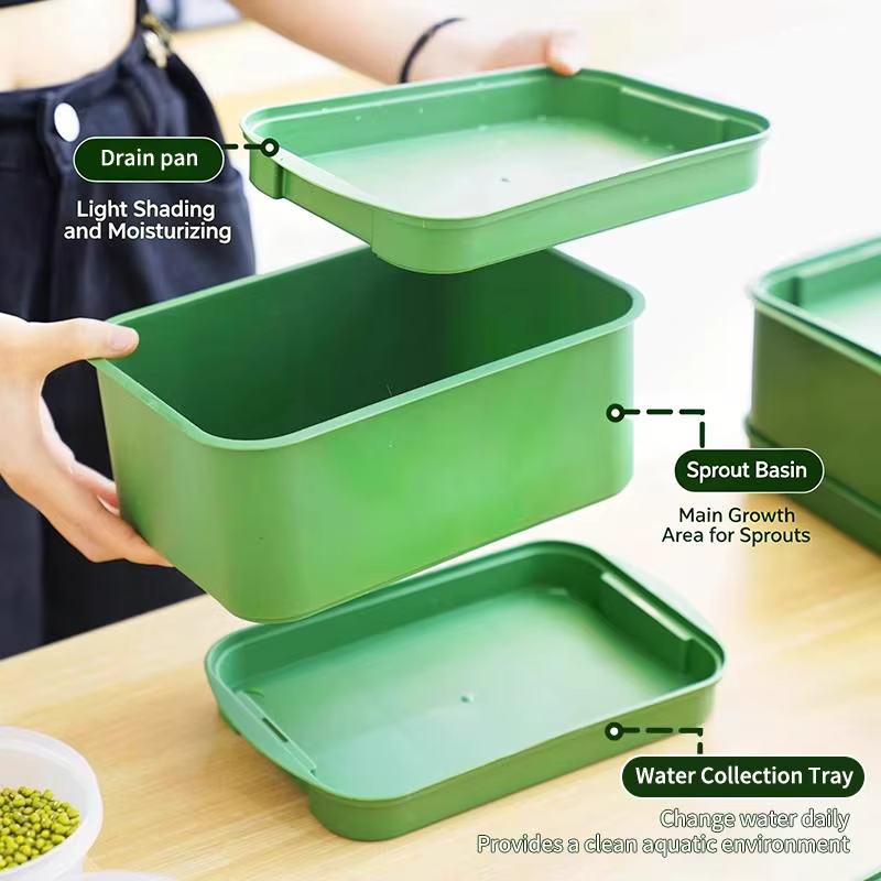 (.) Plateau de germination pour graines