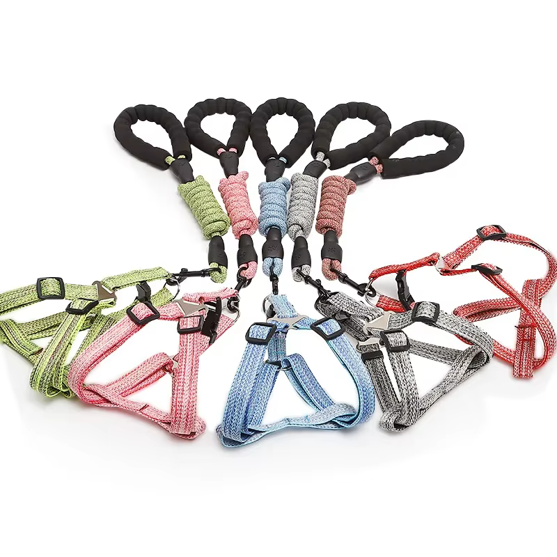 Harnais pour chien 1.2M ensemble de laisse pour petits chiens réglable chiot chat