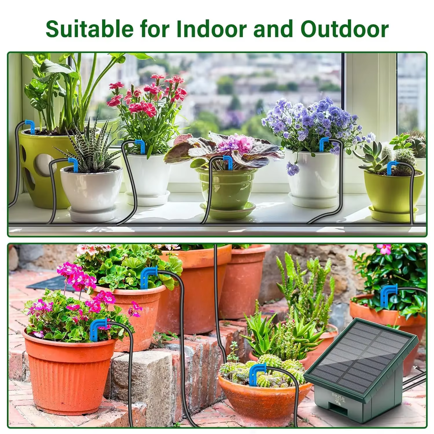 Système d'irrigation goutte-à-goutte solaire automatique