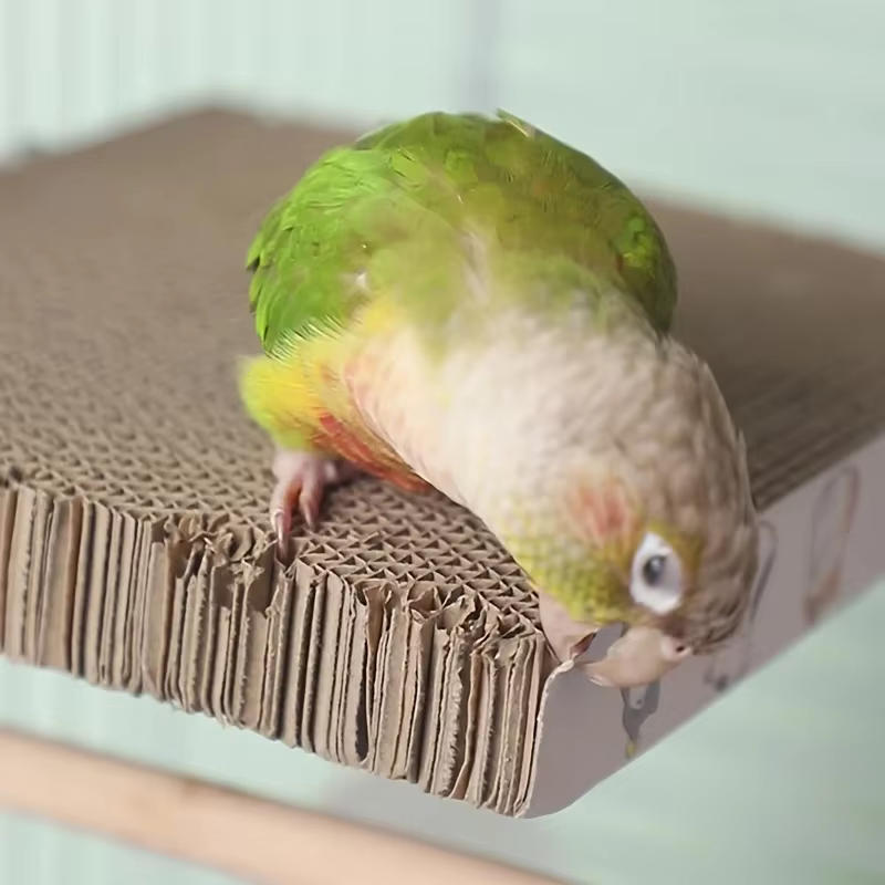 Parrot Stress - Jouets à mâcher anti-stress