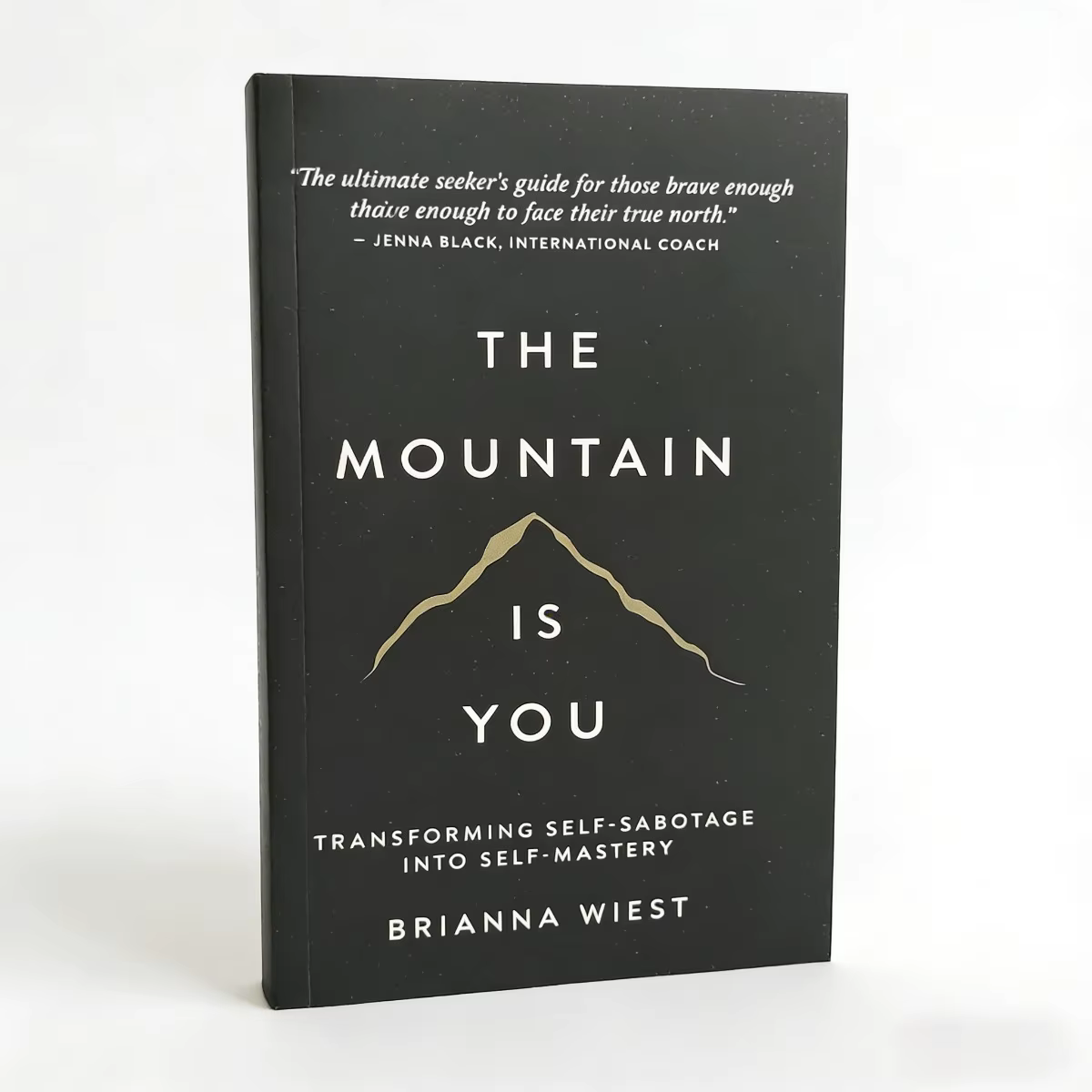 La montagne est toi, par Brianna Wiest | Livre d'autofaisceaulement pour la maîtrise de soi | Transformez la