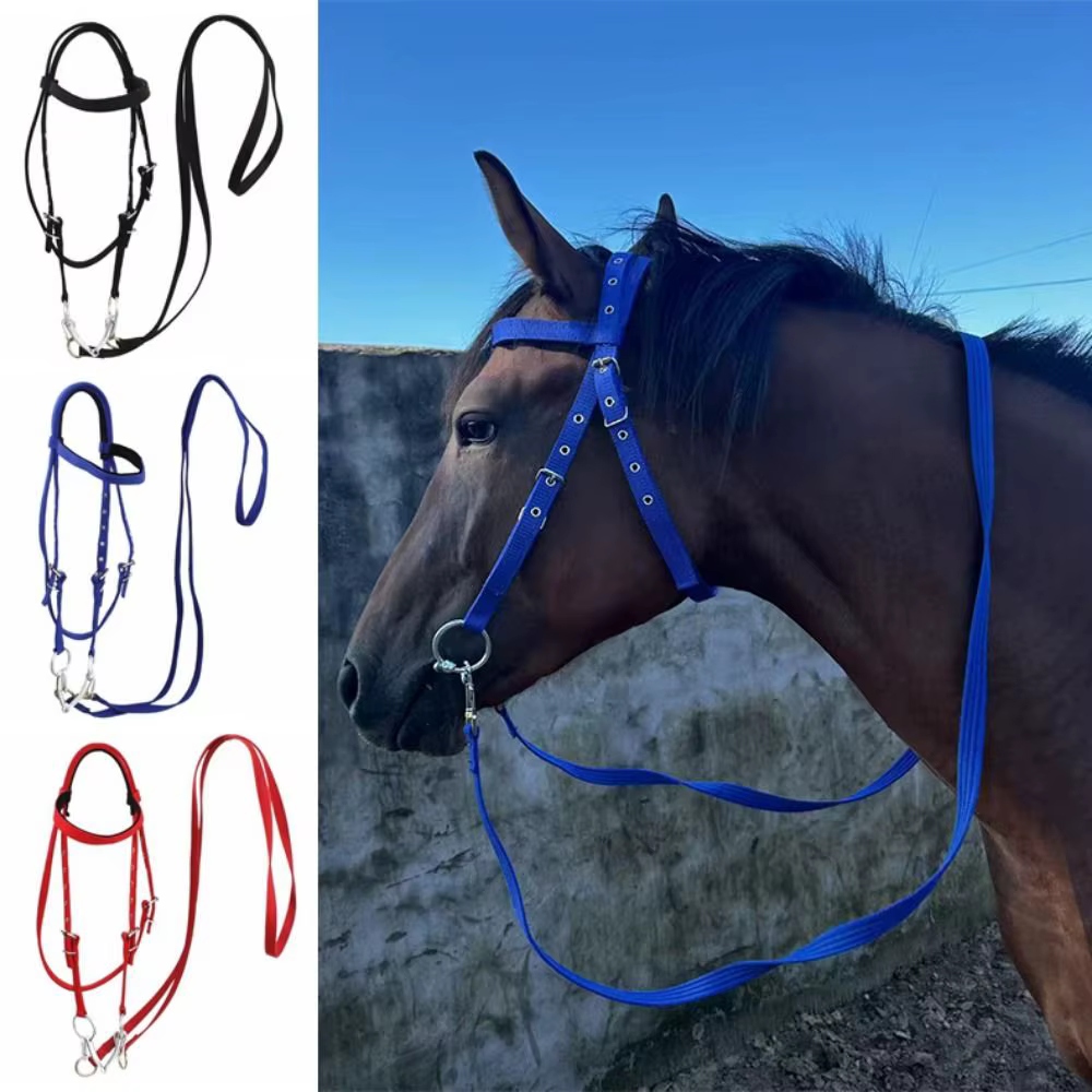 Licouets de cheval épais, sangle réglable et confortable, civière de cou de cheval, bandeau de bride de cheval robuste et Durable