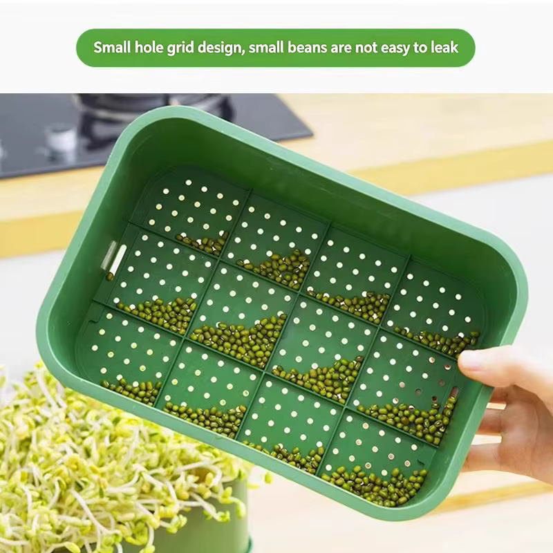 (.) Plateau de germination pour graines