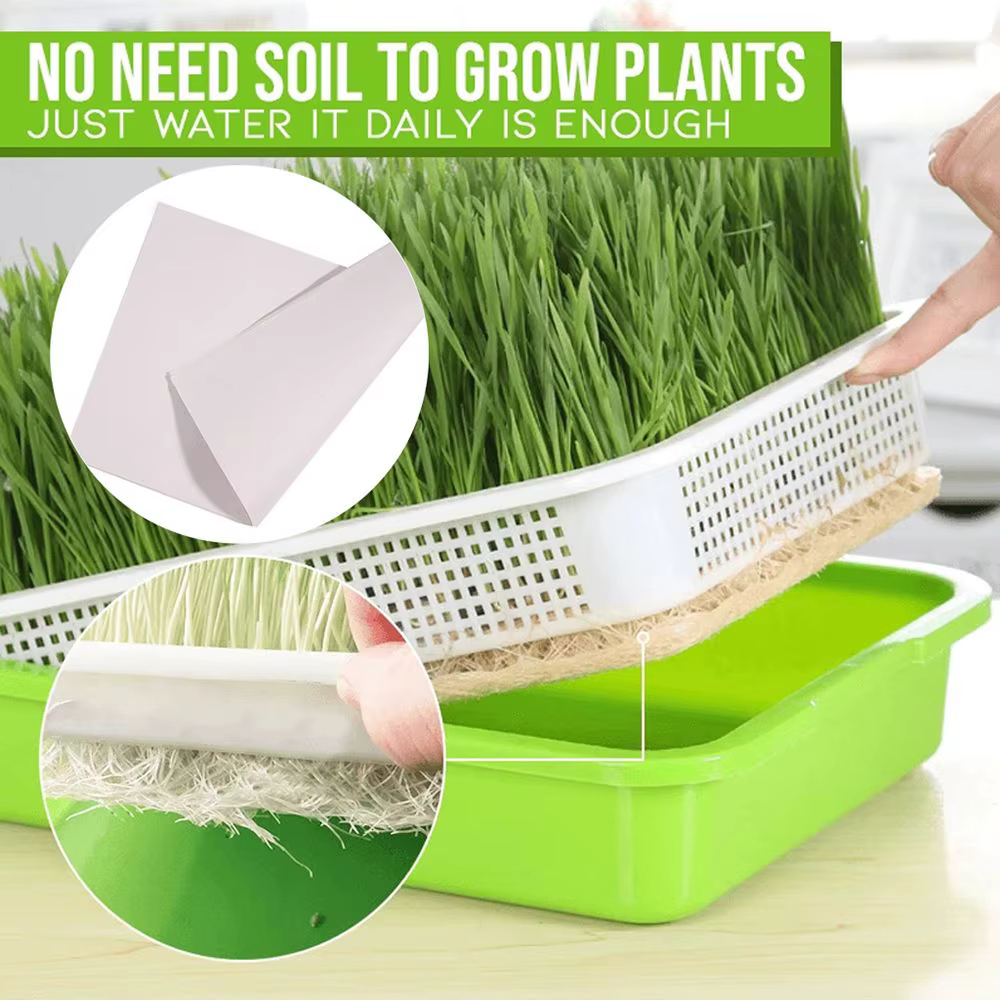 Maison jardin culture hors sol pépinière papier plante boîte graine germener plateau germe Pot pousser Pots