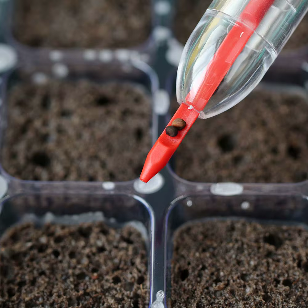 Boîte de Germination Ronde à 13 Cellules