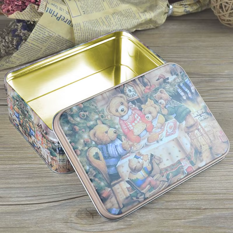 Grande boîte rectangulaire en fer blanc pour biscuits et oiseaux