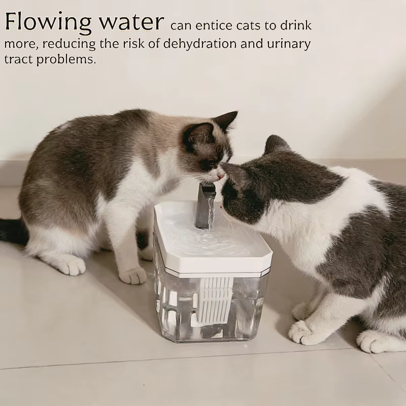 Fontaine à eau pour chat de 1