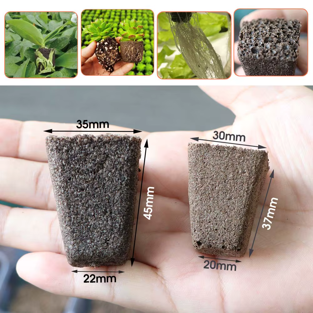 Boîte de Germination Ronde à 13 Cellules