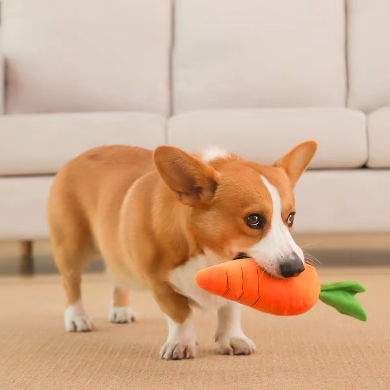 Jouet pour chien, jouet en peluche en forme de carotte
