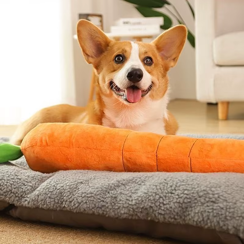 Jouet pour chien, jouet en peluche en forme de carotte