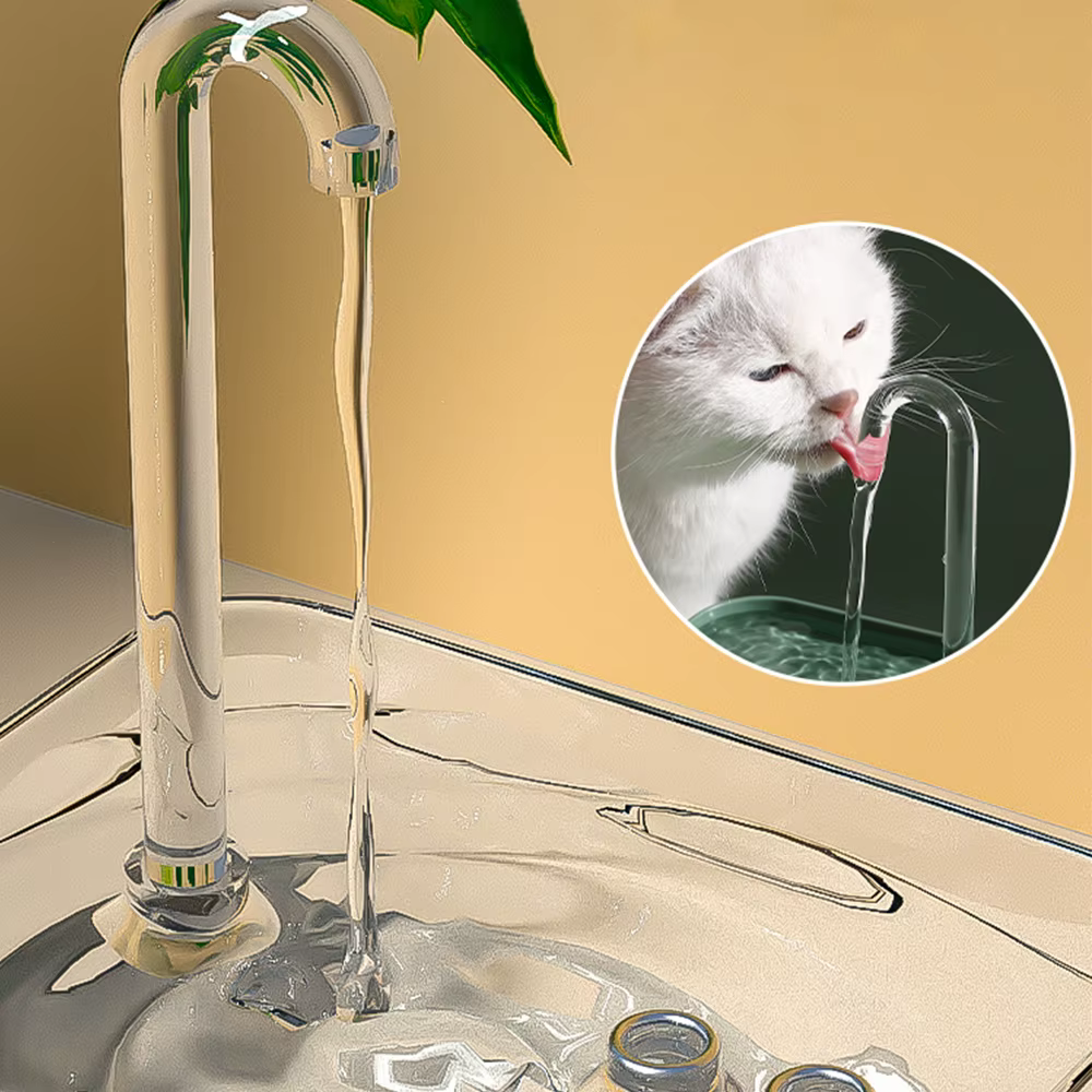 Fontaine d'eau pour chat