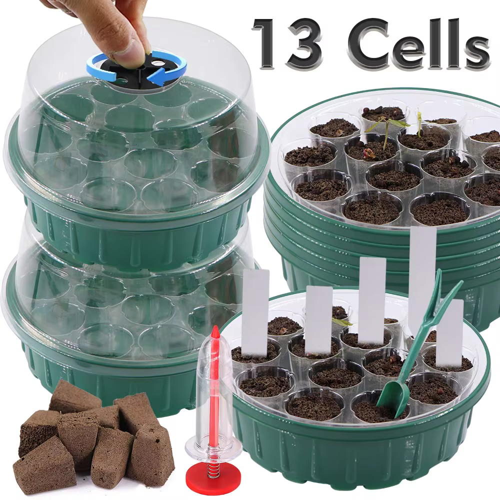 Boîte de Germination Ronde à 13 Cellules