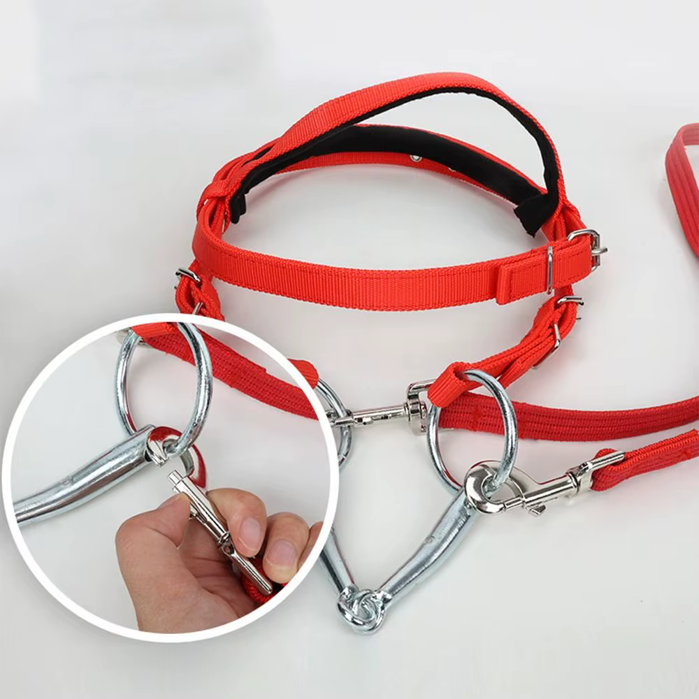 Licouets de cheval épais, sangle réglable et confortable, civière de cou de cheval, bandeau de bride de cheval robuste et Durable