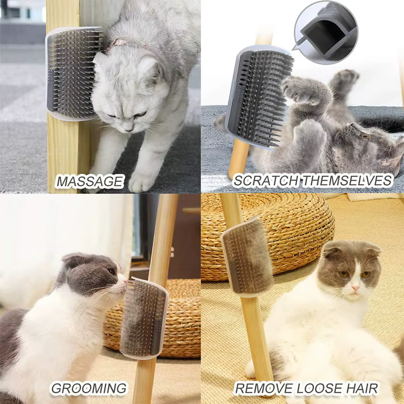 Outil de massage pour chat