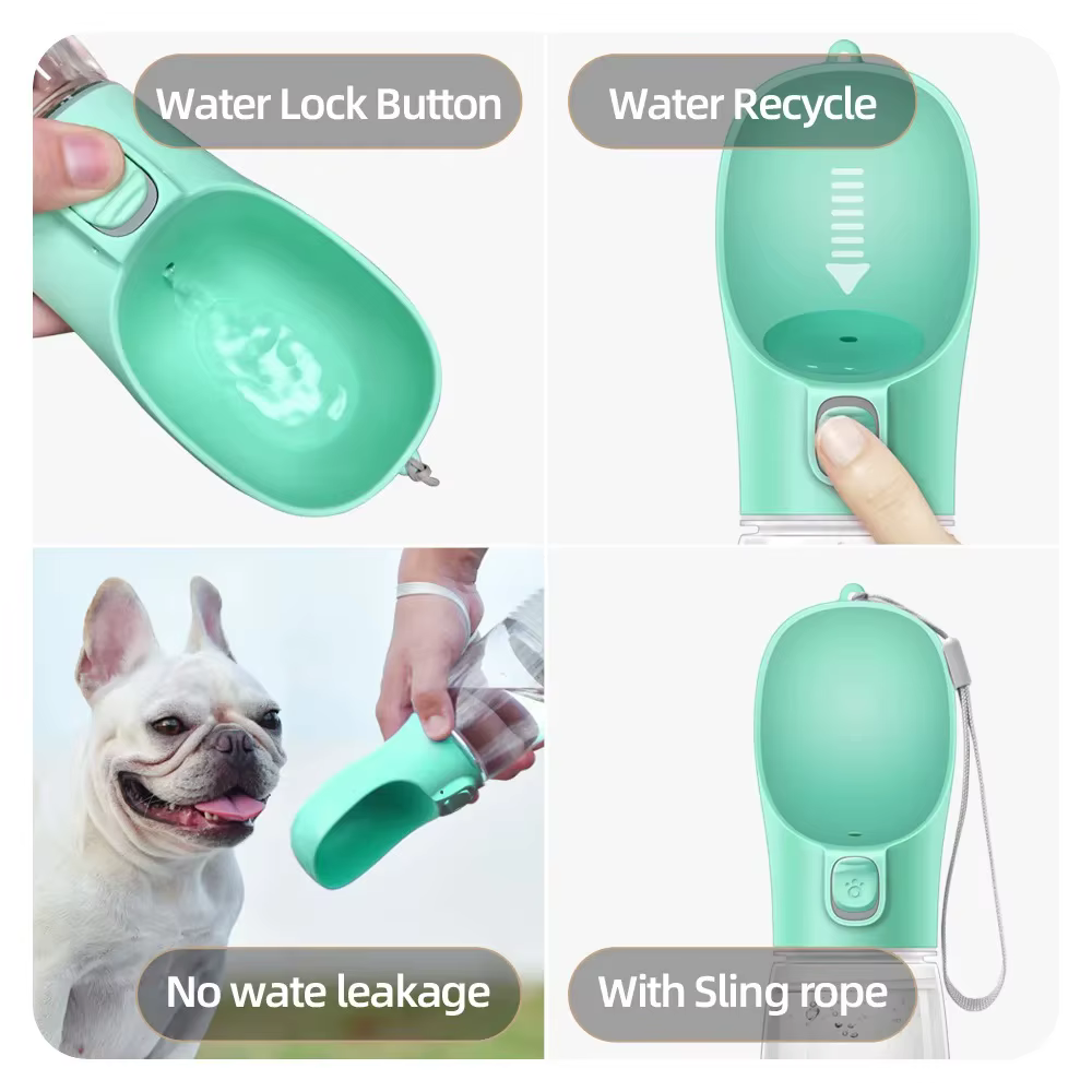 Bouteille d'eau pour chien