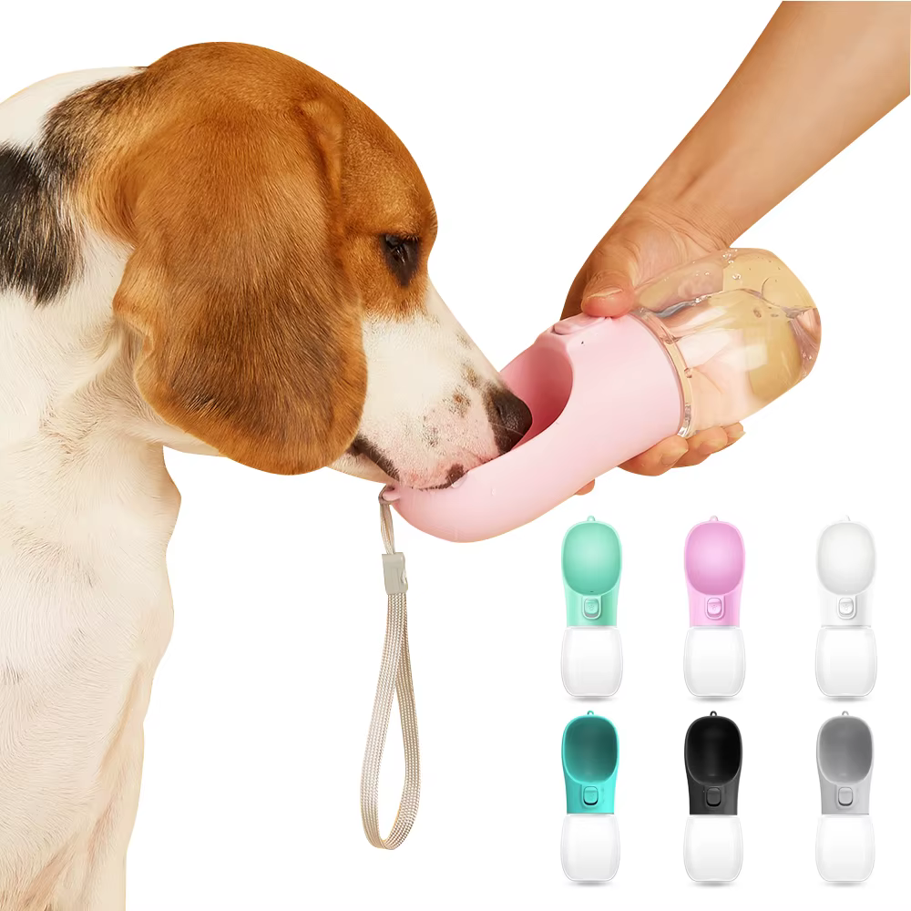 Bouteille d'eau pour chien