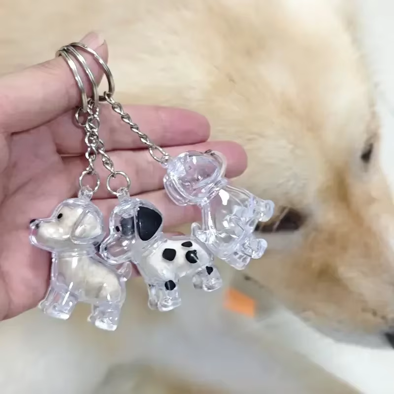 Boîte de rangement de poils de chien
