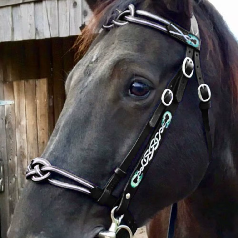 Bridon et Licol en Cuir PU avec Boucle Métallique pour Protéger la Peau du Cheval, Harnais de Conduite Confortable et Réglable pour Cheval
