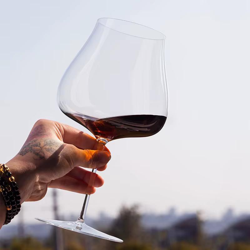 Lot de 2 verres à vin rouge et blanc ultra-fins, en cristal, pour dégustation sensorielle, élégants, gobelets à champagne de luxe, soufflés à la main, pour coffret