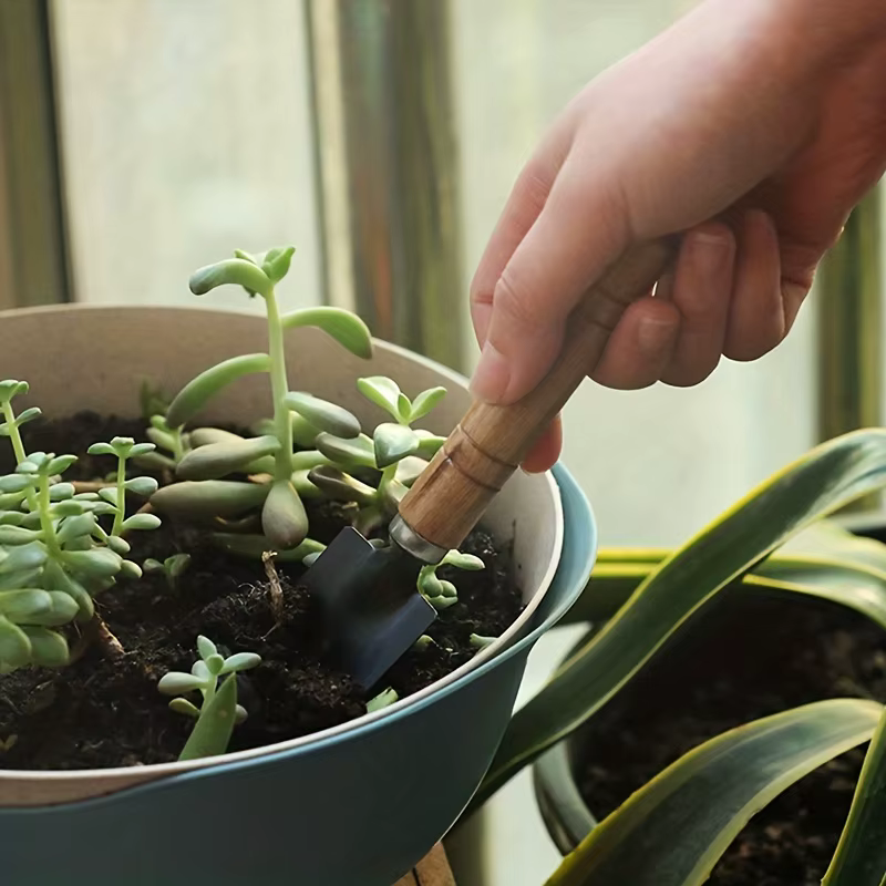 Ensemble d'outils de jardinage avec truelle et pelle
