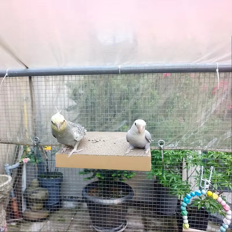 Parrot Stress - Jouets à mâcher anti-stress