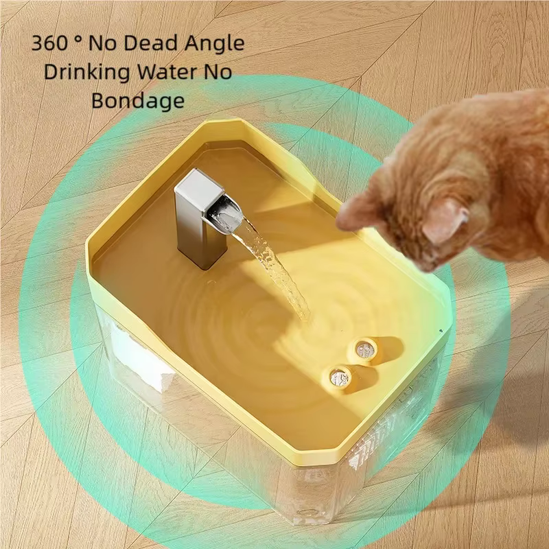 Fontaine à eau transparente pour chat à recirculation automatique