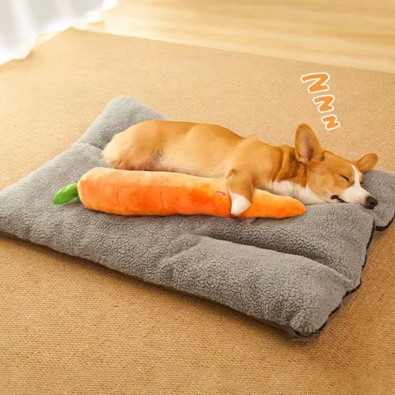 Jouet pour chien, jouet en peluche en forme de carotte