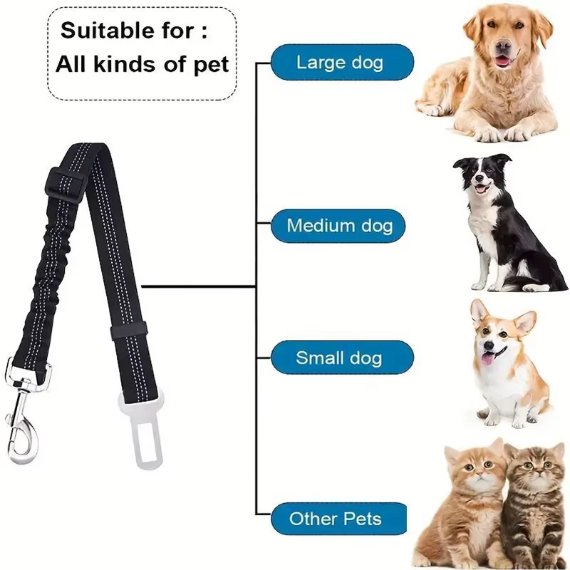Ceinture de sécurité pour animaux de compagnie