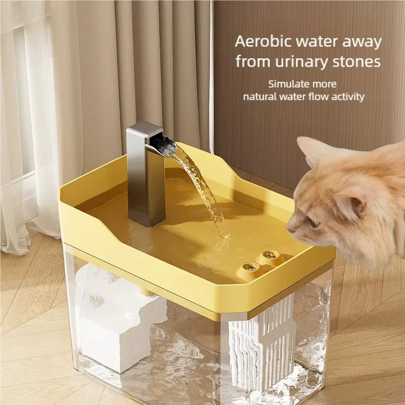 Fontaine à eau transparente pour chat à recirculation automatique