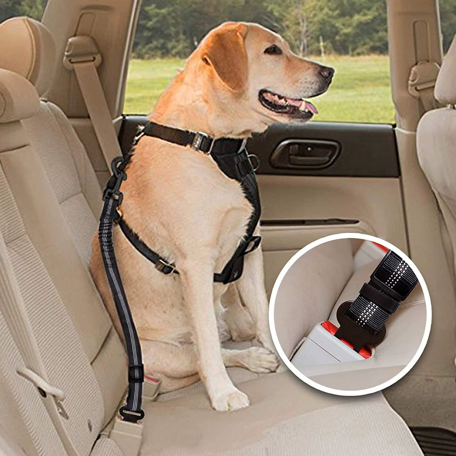 Ceinture de sécurité pour animaux de compagnie
